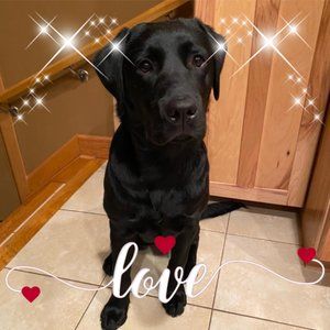 Meet your Posher, Kari